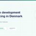 Software development outsourcing in Denmark - working with a partner team